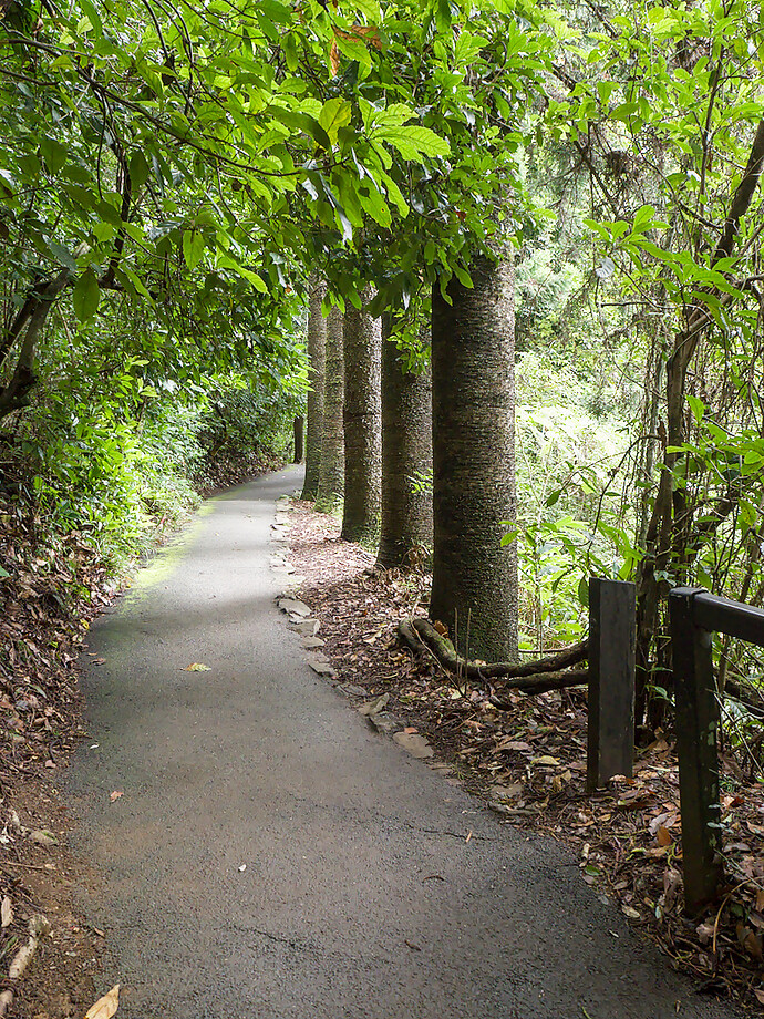 2025-02-14_13-06-14._2140331