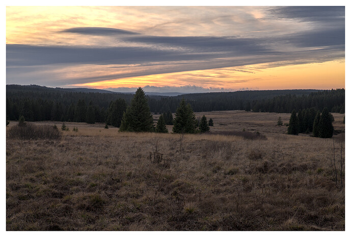 DSC_2085-2560px-bw-2