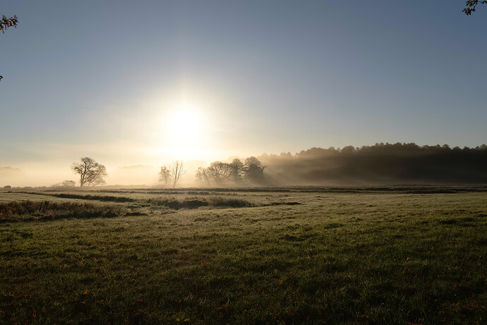 DSCF1234 ART GIMP3.2 (Jpegli)