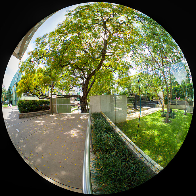 2025-11-07_09-17-59._B071025