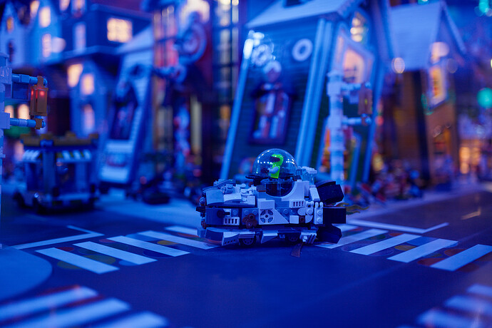 251116_120717_DSC06013