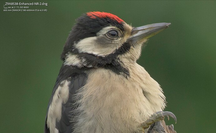 Screenshot 2024-11-17 at 14.42.06