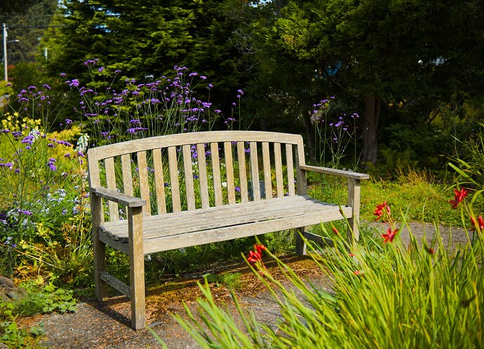 pr_DSCF1987 park bench