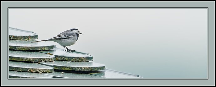 DSCF111238_0