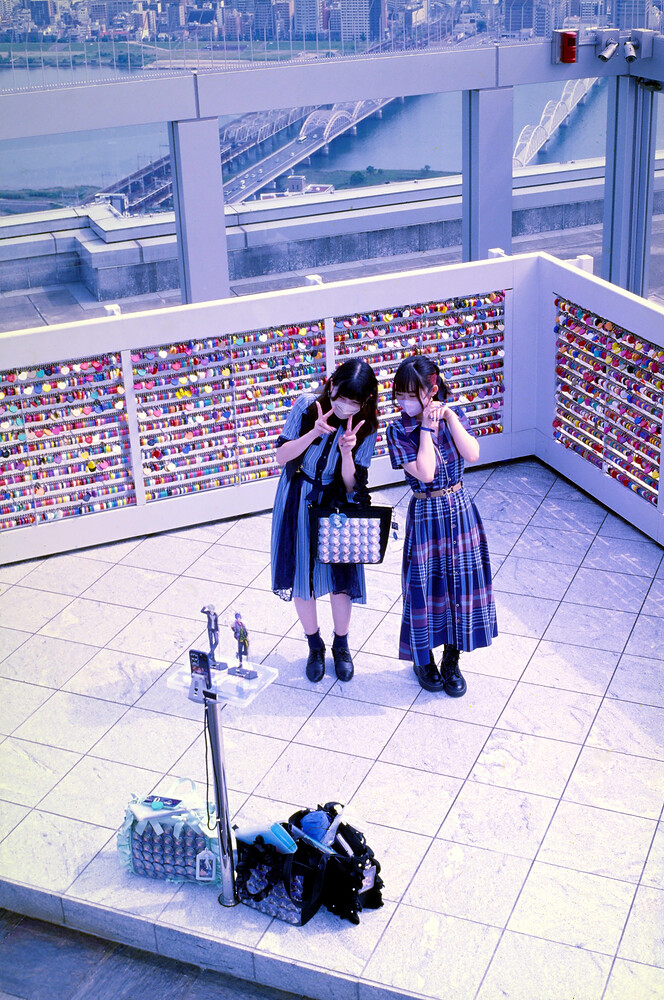 DSC_1099 ART and GIMP (jpegli)