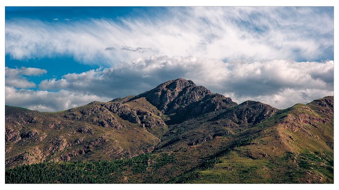_DSC0613