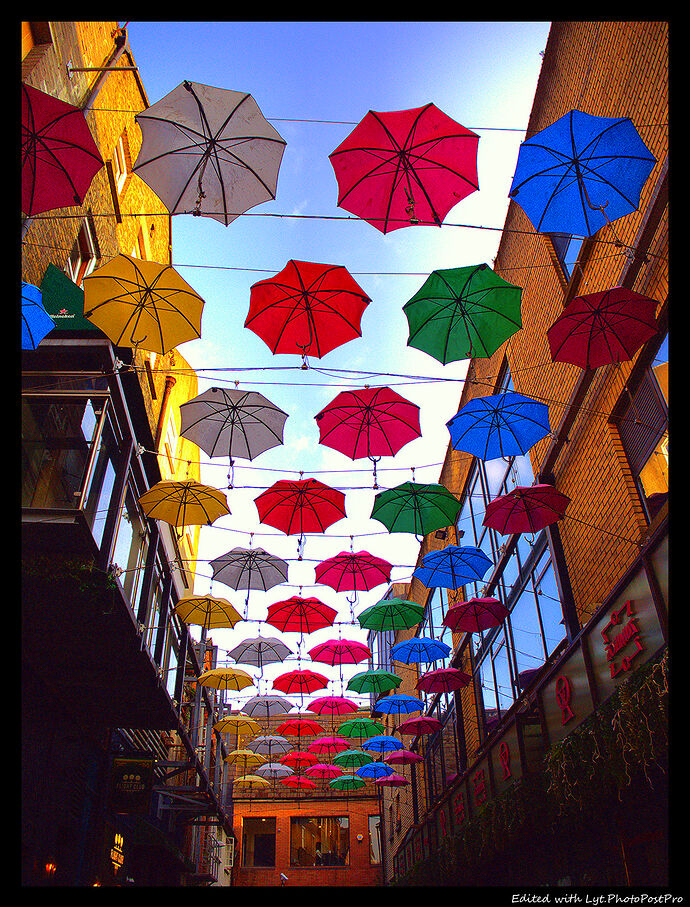 Umbrellas_HDBB