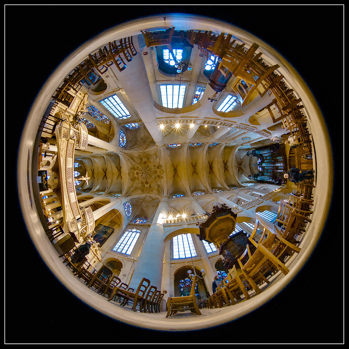 2025-10-27-IMG_4641_LR