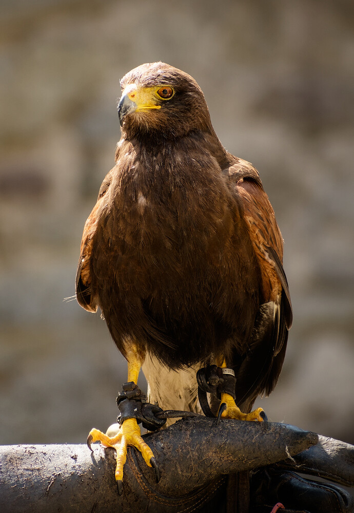 DSC_0364_1080p