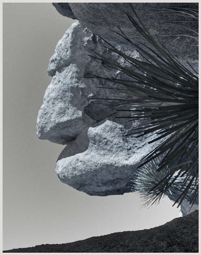 _T5A7025