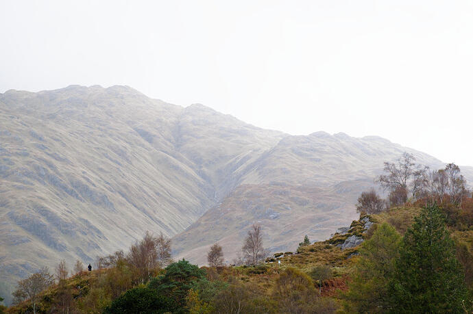 20251009_113210_DSCF0646