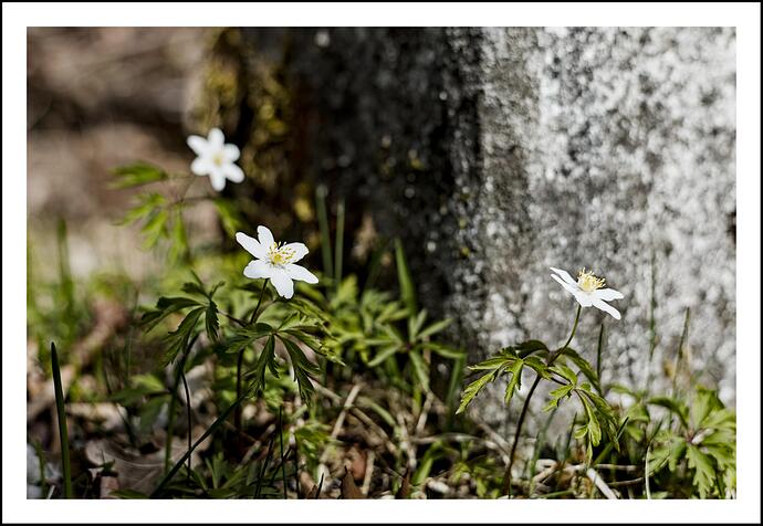 20260325-1053-000542