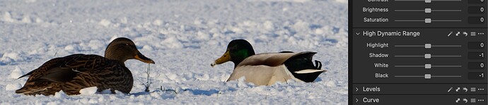 As Shot - Opened in Capture One