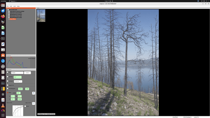 Screenshot from 2024-06-05 11-56-34