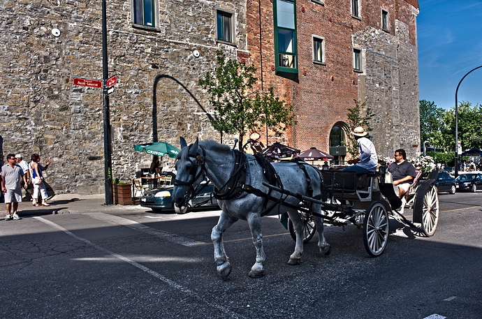 blue_horse-LocalClarity100%20retinex