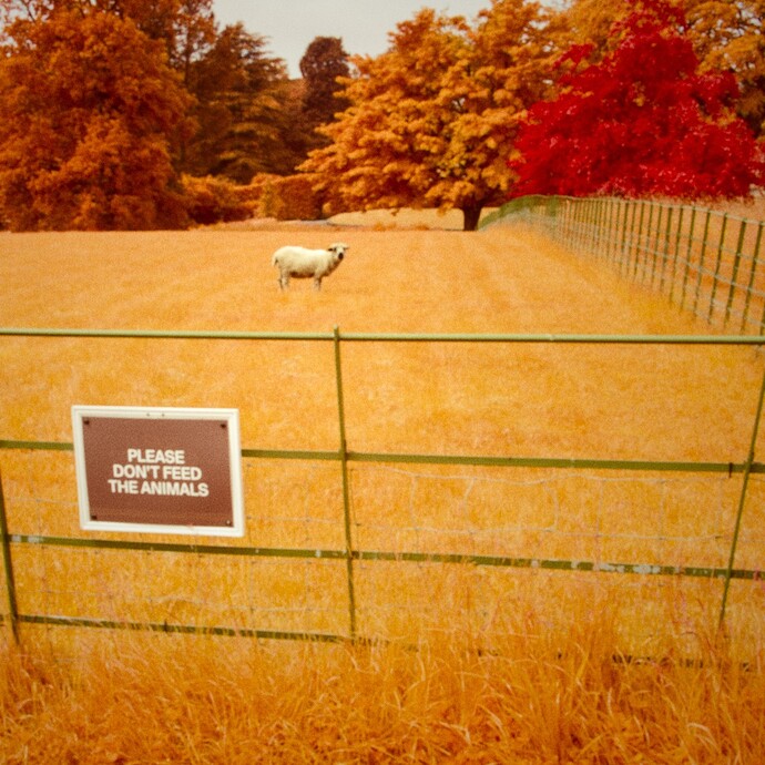 TonyBarrett_20230611_0129_02_grubernd