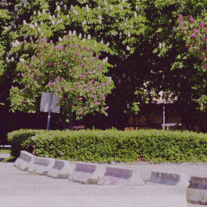 grain copy