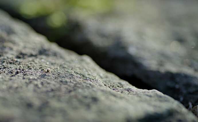 260228_164815_DSC08920