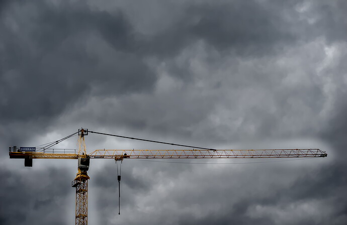 Crane  DSC02727-2025.10.29