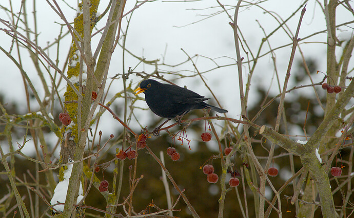 260127_110912_DSC08407