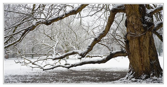 2601_WinterEinbruch_035_02
