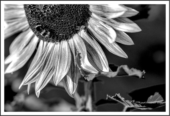 250720_073705_DSC03657