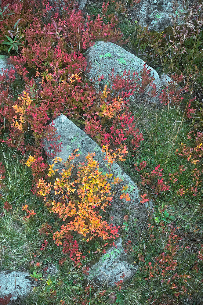 20250913_2025-09-13 nendaz_0091_03