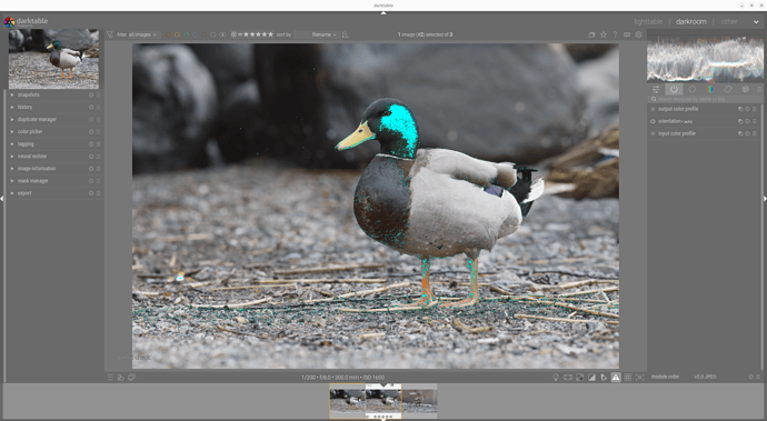 Screenshot From 2026-04-13 19-38-41