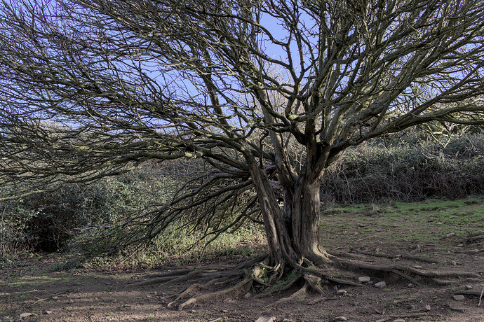 2022-01-31-11.58.58.0