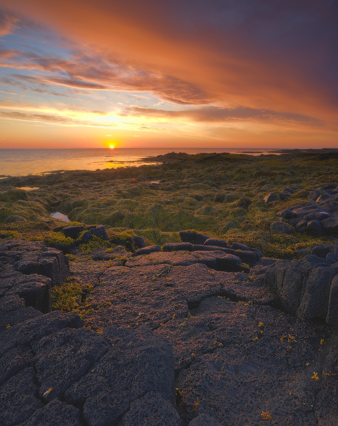 2018-07-27__7M33870-lighter-foreground