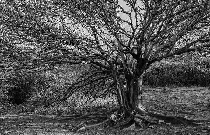 2022-01-31-11.58.58.0