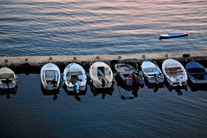 _DSC0005