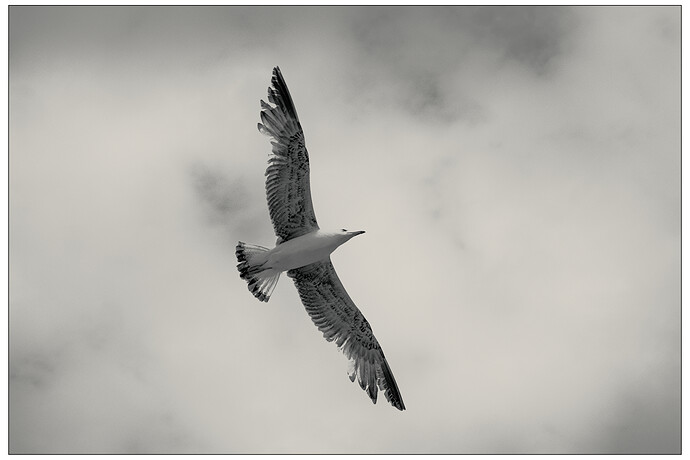 20220602_184226_2029