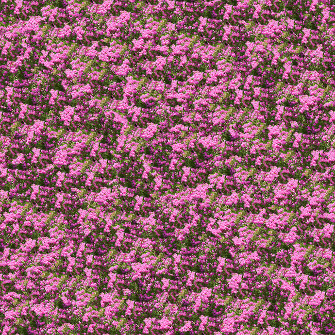 seamless_flowers