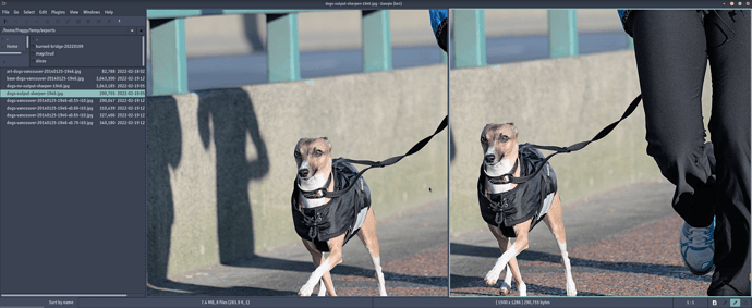 Screenshot_2022-02-19_17-35-51