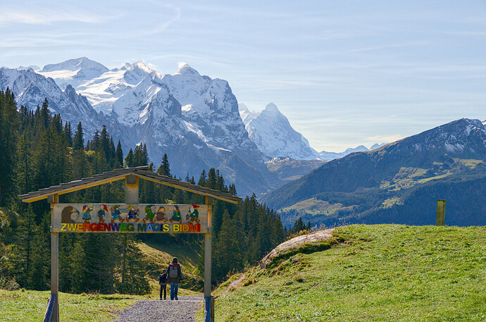 2020-10-08_14-21-06_DSC_0117