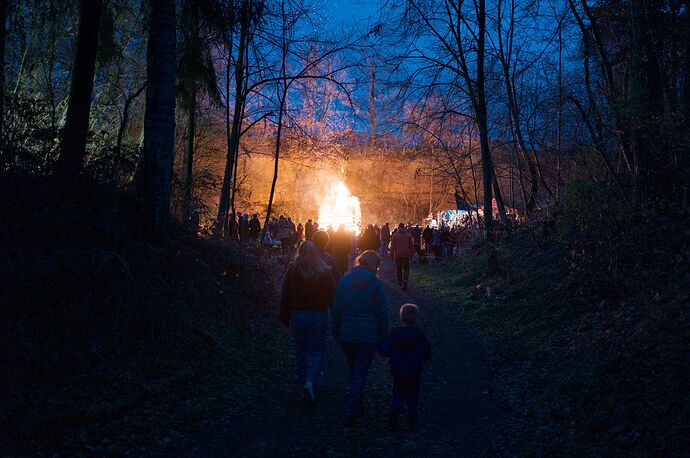 260404_202536_DSC09408