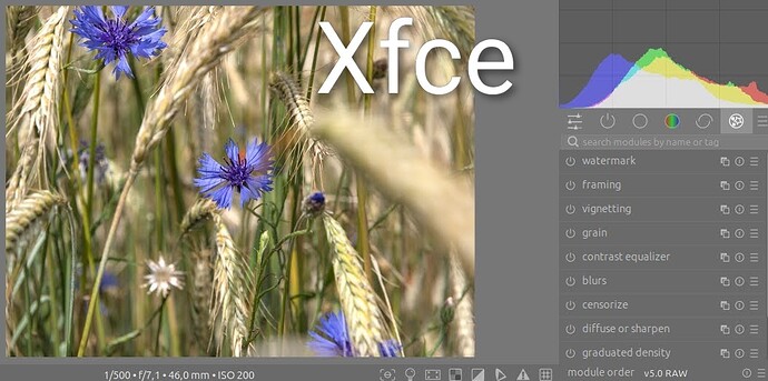 xfce  profil  Lumix g9~2
