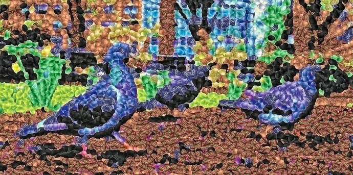 Colorful_pigion_eggs