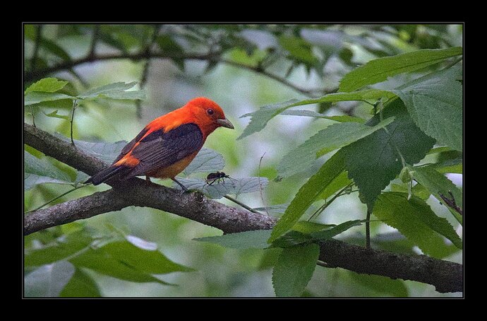 IMG_8829_0
