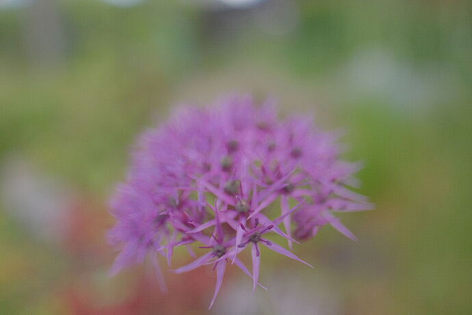 DSCF1489