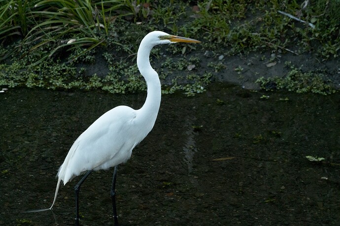 DSC_6163_02