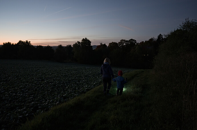 251013_190715_DSC05225