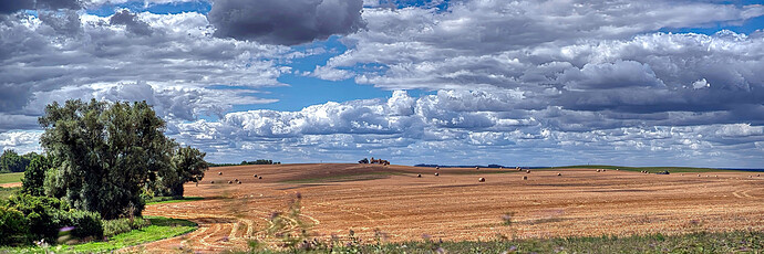 DSCF111514 RT and GIMP Pano (jpegli)