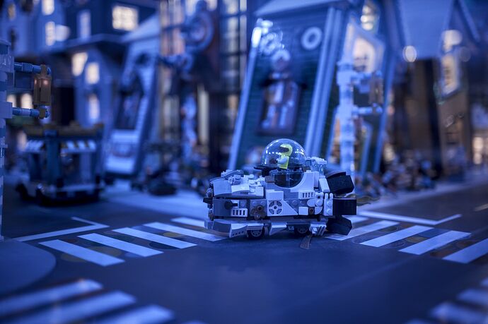 251116_120717_DSC06013_01