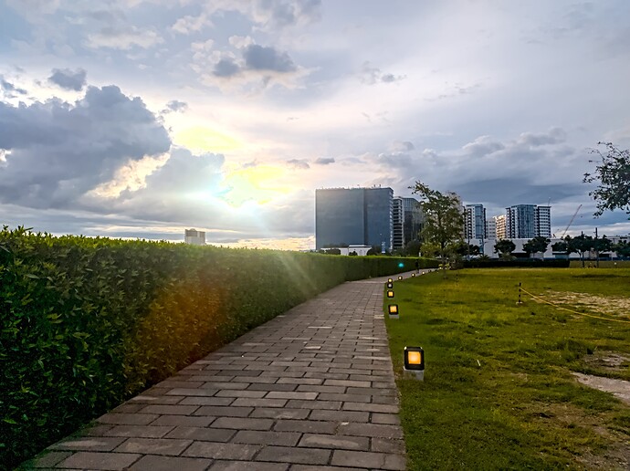 IMG_20250907_171053.edited-with-darktable