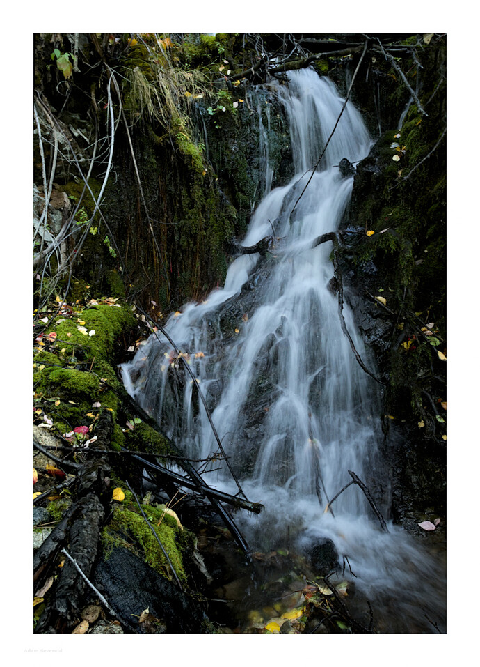 _DSC0568