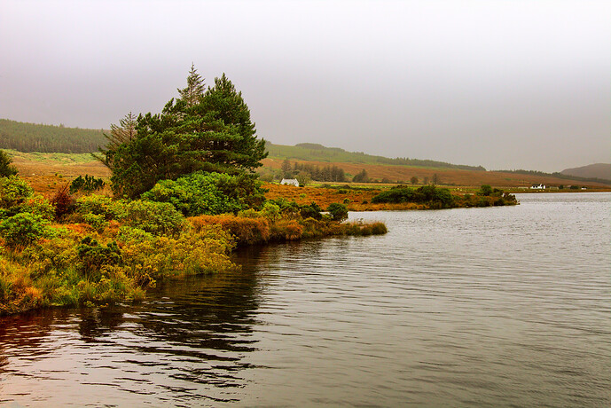 23-10-07_MG_5950_GIMP L-a-b