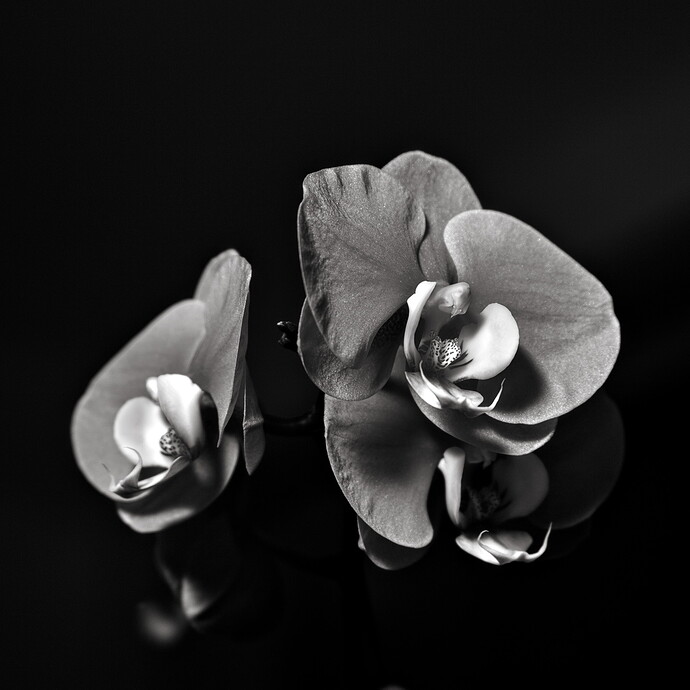 2025-03-06_Mar At Home_64