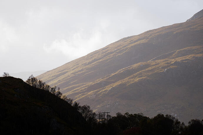 20251009_103724_DSCF0306